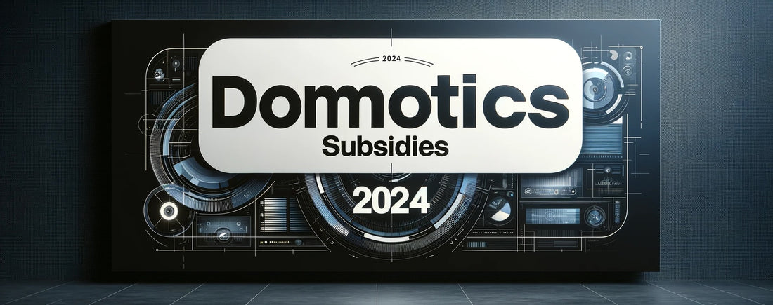 Domotics subsidies 2024 Wallonia